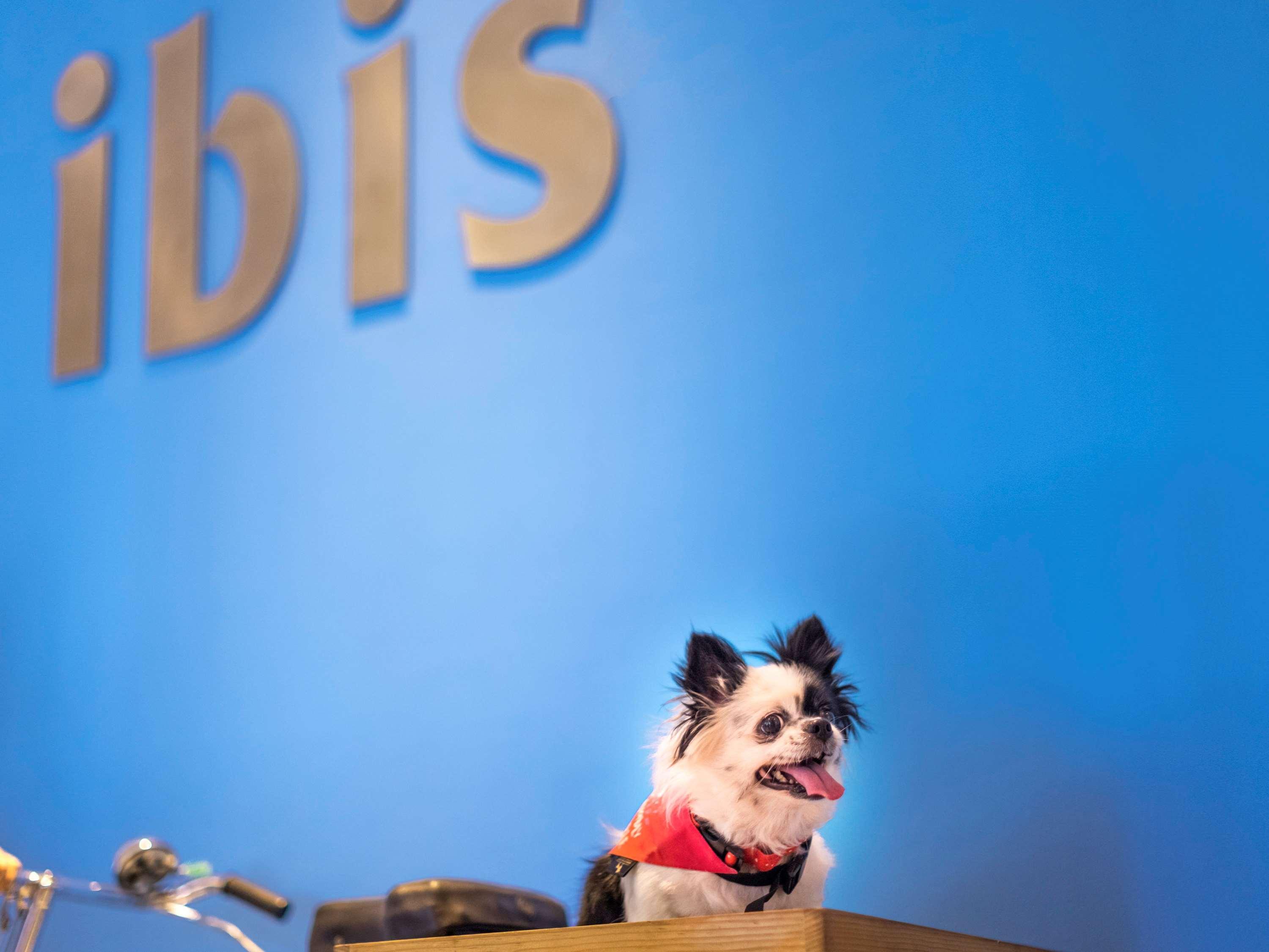 Ibis Pune Viman Nagar - An Accor Brand Kültér fotó