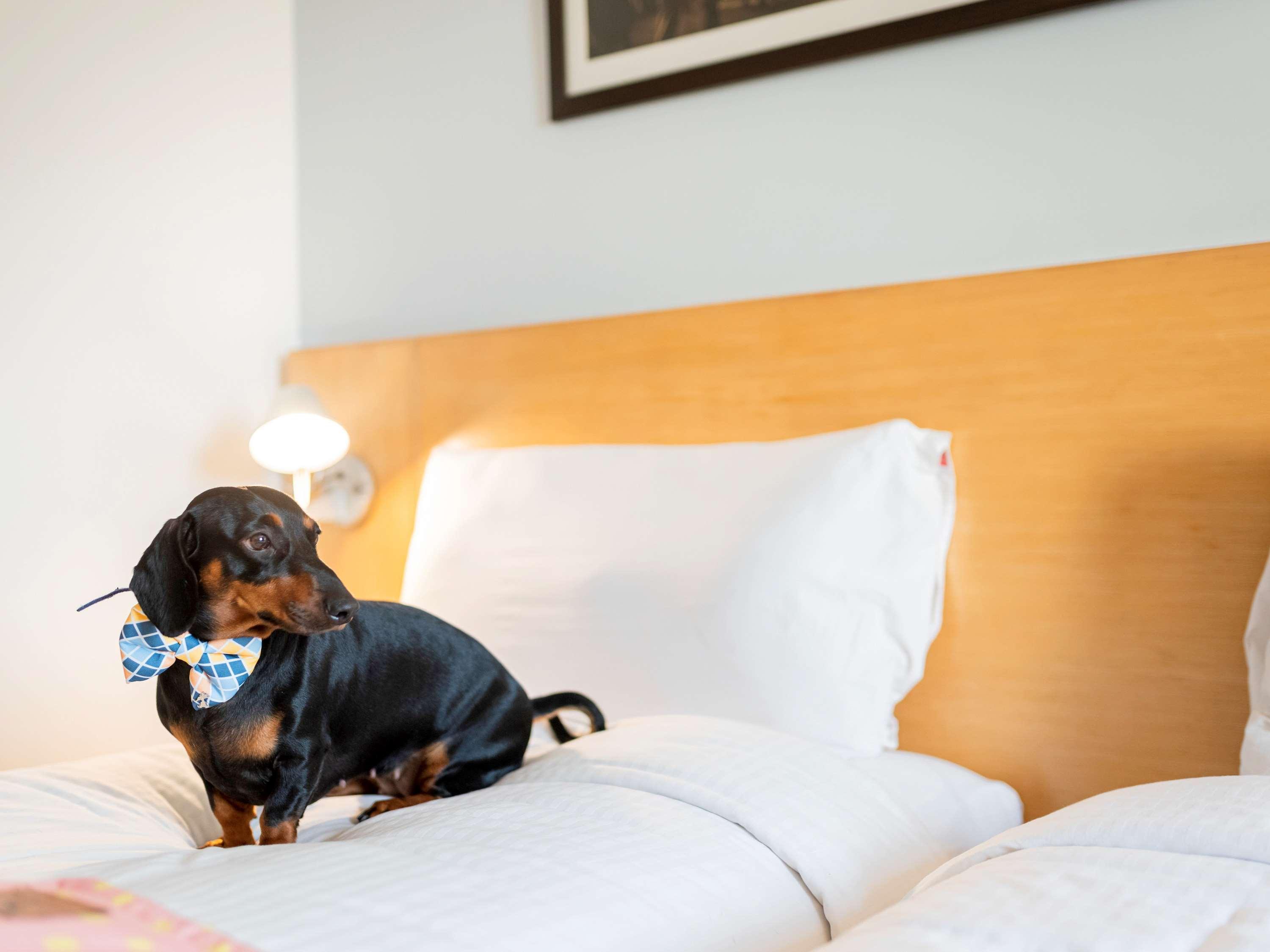 Ibis Pune Viman Nagar - An Accor Brand Kültér fotó