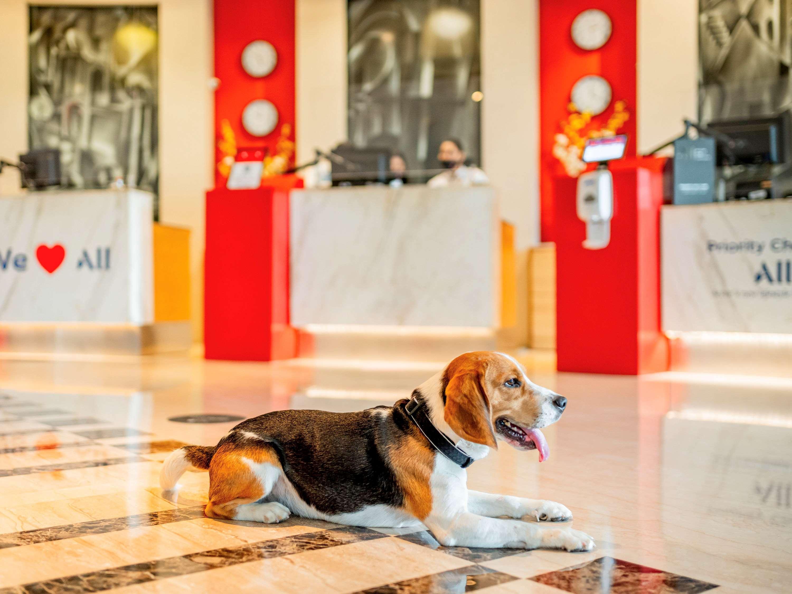 Ibis Pune Viman Nagar - An Accor Brand Kültér fotó
