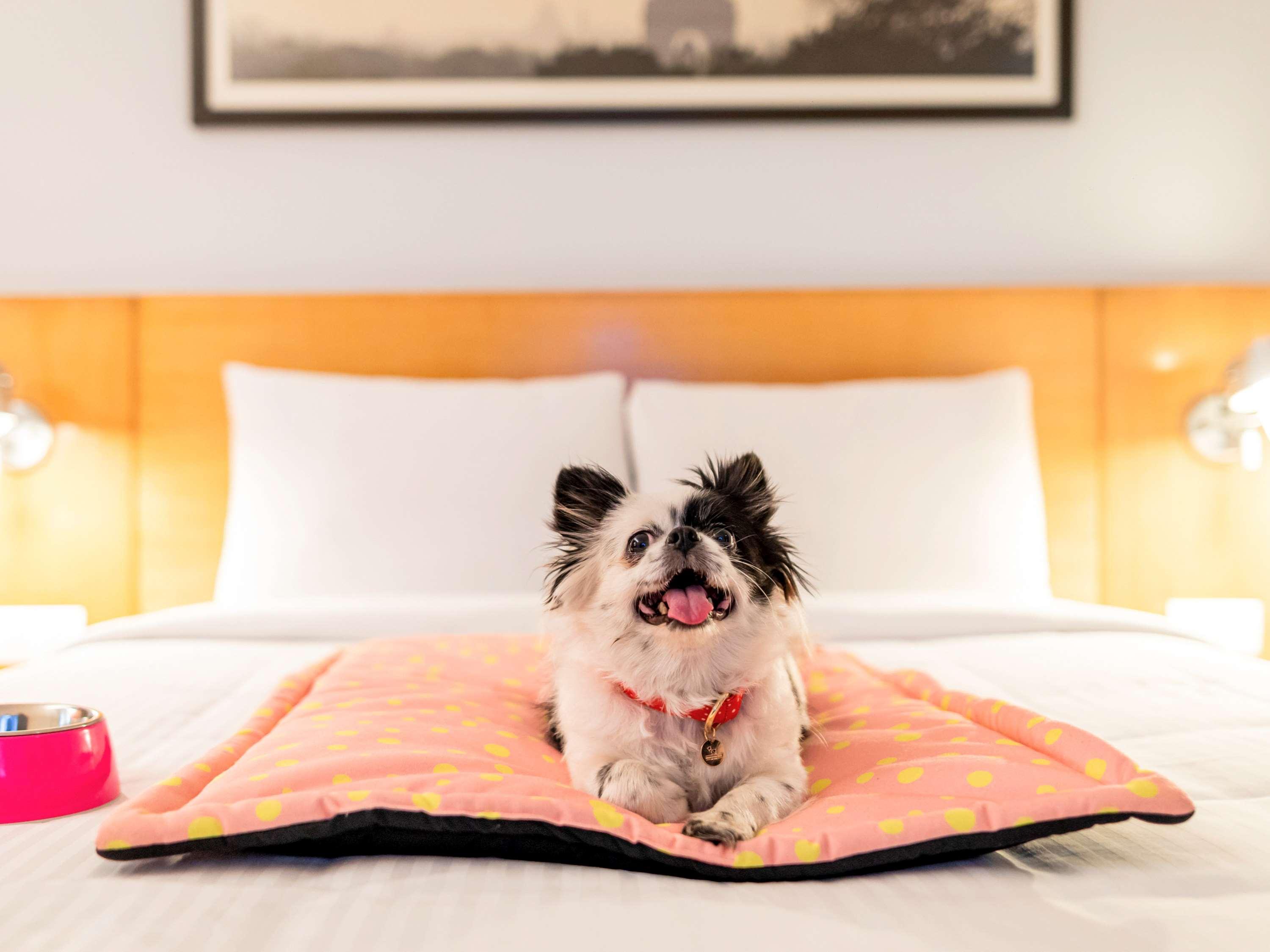 Ibis Pune Viman Nagar - An Accor Brand Kültér fotó